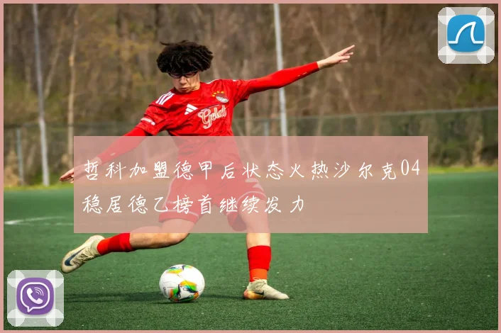 哲科加盟德甲后状态火热沙尔克04稳居德乙榜首继续发力